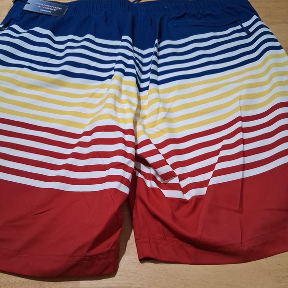 Roundtree & Yorke Multicolor Striped Swim Trunks - Picture 4 of 6